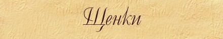 Питомник чихуахуа Хеленмарка. Щенки.